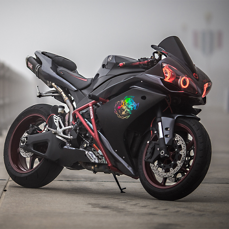재미있는 개 머리 창조적 인 자동차 창 오토바이 범퍼  - Motorcycle Gear Dogs 리뷰 및 가격