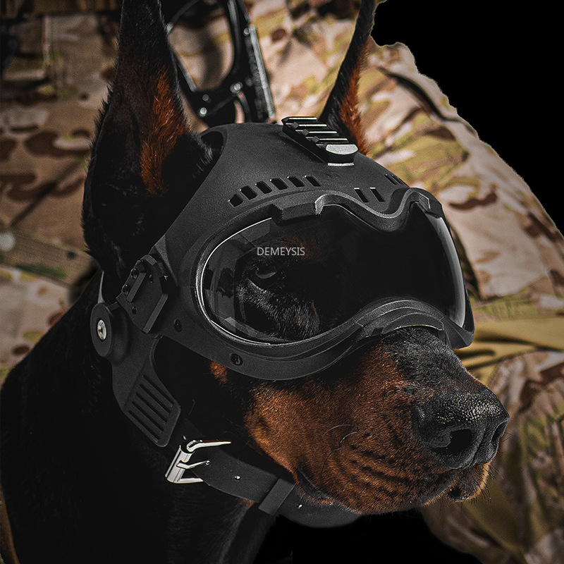 야외 사냥용 개 헬멧 애완동물 오토바이 보호 장비 고글 - Motorcycle Gear Dogs 리뷰 및 가격
