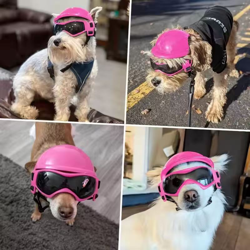 강아지 오토바이 헬멧 고글 세트, 야외 모험 여행용품, - Motorcycle Gear Dogs 리뷰 및 가격