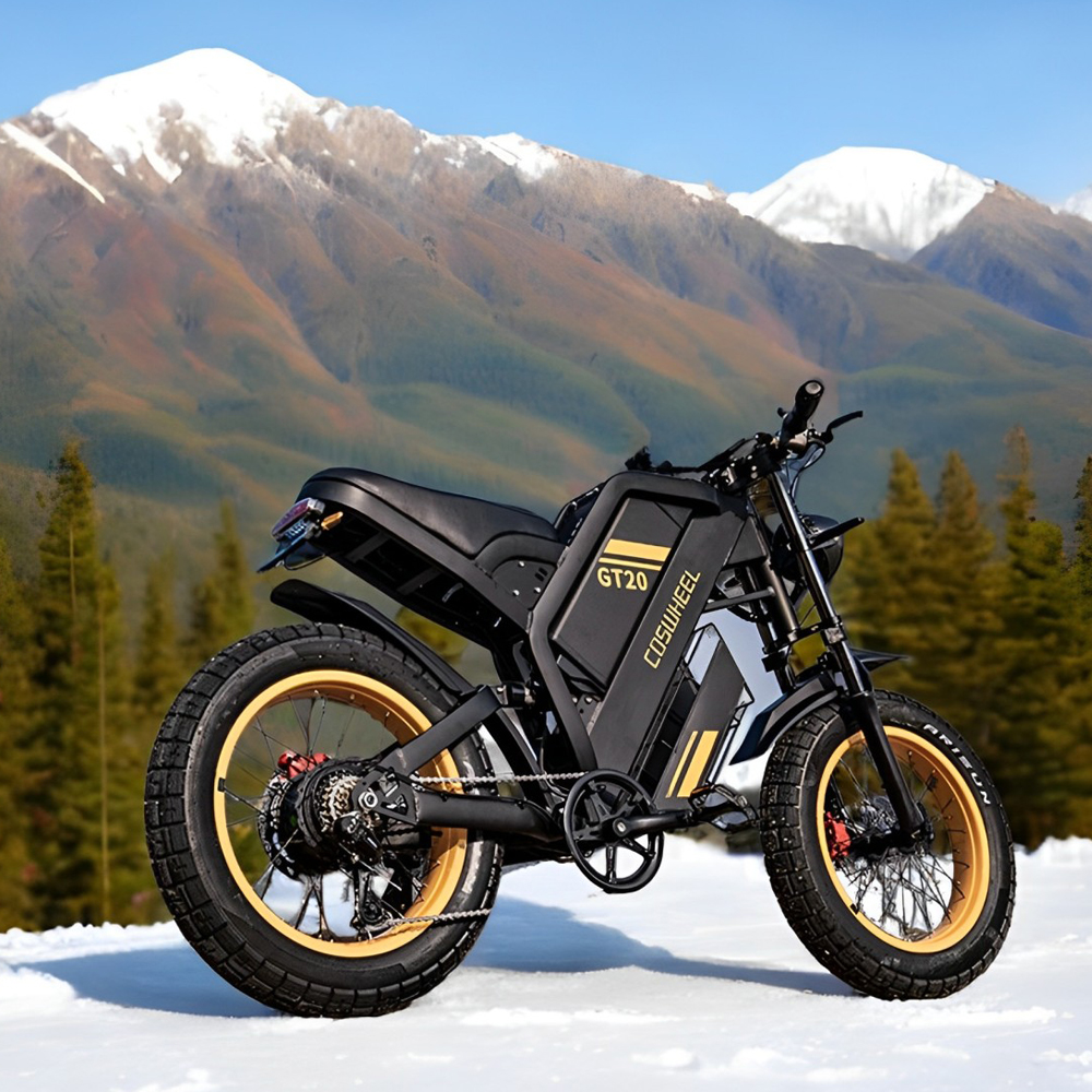 코스휠 성인용 전기 자전거 2000W 60V 오프로드  - Motorcycle Gear Online 리뷰 및 가격